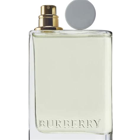 burberry london rollerball|burberry her garden party.